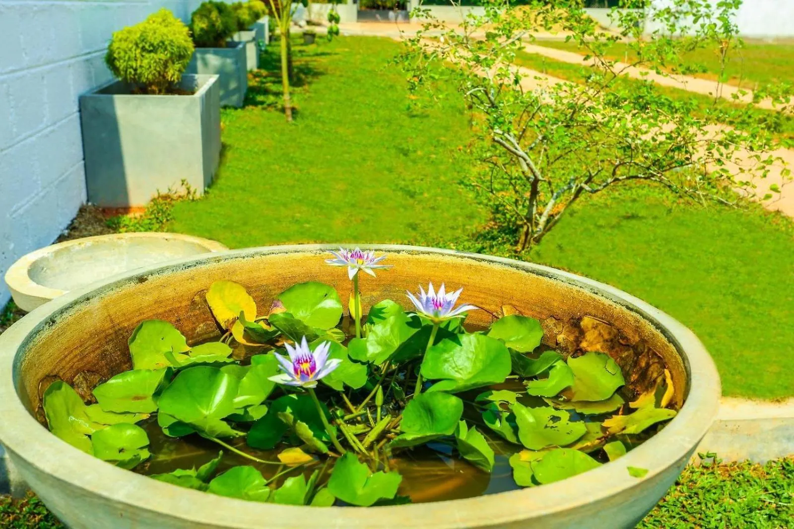 Mangrove Lagoon Villa Negombo